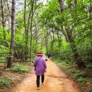 황방산생태야영장 | 울산 황방산 황톳길 맨발걷기 체험 추천&amp;황방산생태야영장 정보