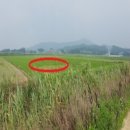 대두리 이미지