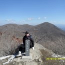 장안보리밥 이미지