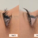 둔산중로-40 | 섬세한 손길에 꿀잠 자버린 속눈썹펌 맛집 | 라무드✨