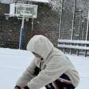 데굴데굴 이미지