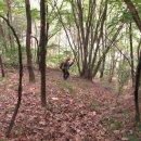 별뫼축사 이미지