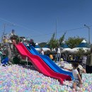 늘 봄 | 봄산나물 축제 다녀온 후기! 홍천 나들이 + 제철 나물 체크리스트