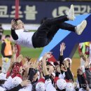 대승해 이미지
