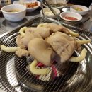 빨간꼼장어 이미지