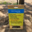 궁평바다펜션 이미지