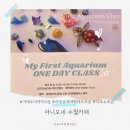 문화관광 | [아니모네수월]🌊 거제 아동문화관광체험카드 어항 만들기 후기✨