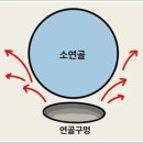 HEALTH AND BEAUTY AUSTRALIA | 콘쥬란 주사 효과