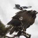 예산농장 이미지