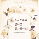 카카오스테이지) 소꿉친구님 살려만 달라면서요? 후기