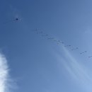 영강동행정복지센터 주차장 이미지