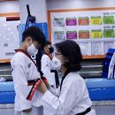 한국孝태권도 이미지