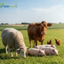 (주)이지바이오 이미지