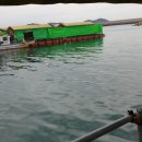 아쿠아 좌대낚시터 이미지