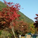 월악산오토캠핑장 이미지