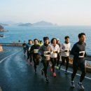 진남체육공원 진남테니스장 | 여수해양마라톤 접수, 2026 대회 일정부터 참가비까지