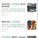 코끼리베이글 이미지