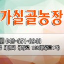 가실골농장 이미지