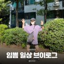 우리동네청소왕 | 이사가 너무해 : 임쁨 일상 브이로그