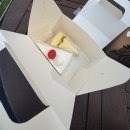 브이독(V-dog) | 초겨울을 좋아하세요?