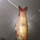 카페0709