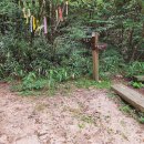 제185차 09월03일(목) 둔덕산(암릉산행,문경) 이미지