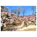 도봉-도봉-2097 | (메이다이닝) 제니스타일, 소규모 돌잔치 후기