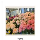 신창초등학교 | 광주 신창동 꽃집 그린밋 부모님 선물 꽃다발 추천