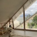 바두기펜션 이미지