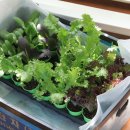 아름다운어린이집 이미지