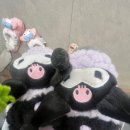 ZZANG 뽑기방 네이버블로그