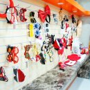 엠엔스타 이미지