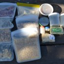 Little Bear‘s Big Trip 이미지