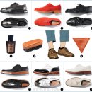 파르마 스테이 이미지