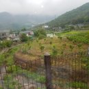 커피별여행자 이미지