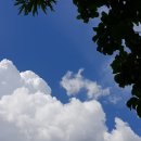 유일주유소 이미지