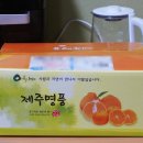 용지농장 | 제주 카라향 시기 제주도 감귤농장 5kg 택배 후기