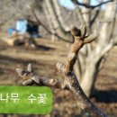 곡성-185 이미지