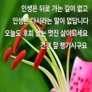 좋은사람들 Daum카페