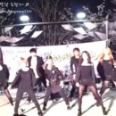 위즈크루 Daum카페