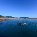 해동용궁사 이미지