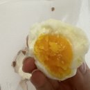 동읍864 | [주간일기] 2025_#2📝