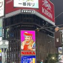 깔끄미 빨래방 | [24.8월] 삿포로 스트림 호텔 (수페리어트윈,프리미럼디럭스더블 가격,노리아관람차뷰,층수,룸컨디션)