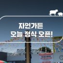 자인가든 이미지