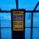 오션 비스타 제주호 | [제주→삼천포]오션비스타제주호 타고 제주에서 삼천포로 배타고 가기(차량선적, 탑승) 후기