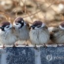 얘들아 여기야 연합뉴스