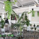 카페502 이미지