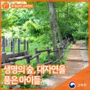 솔빛숲유치원 이미지