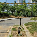 청라호수공원(제3주차장) 이미지