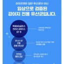 펫라이프 | 라이프펫 프로바이오틱스 유산균 솔직후기 🤩💖